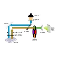 什么是熒光定量PCR、數(shù)字PCR？