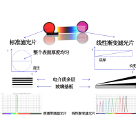 線性漸變?yōu)V光片是什么？有何特點(diǎn)？